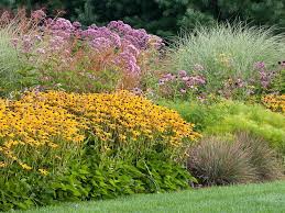 Marchants Hardy Plants